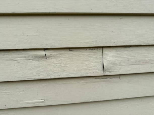 Affordable Siding Repair and Maintenance Services in Thorofare, NJ